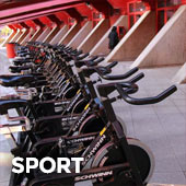 Sport