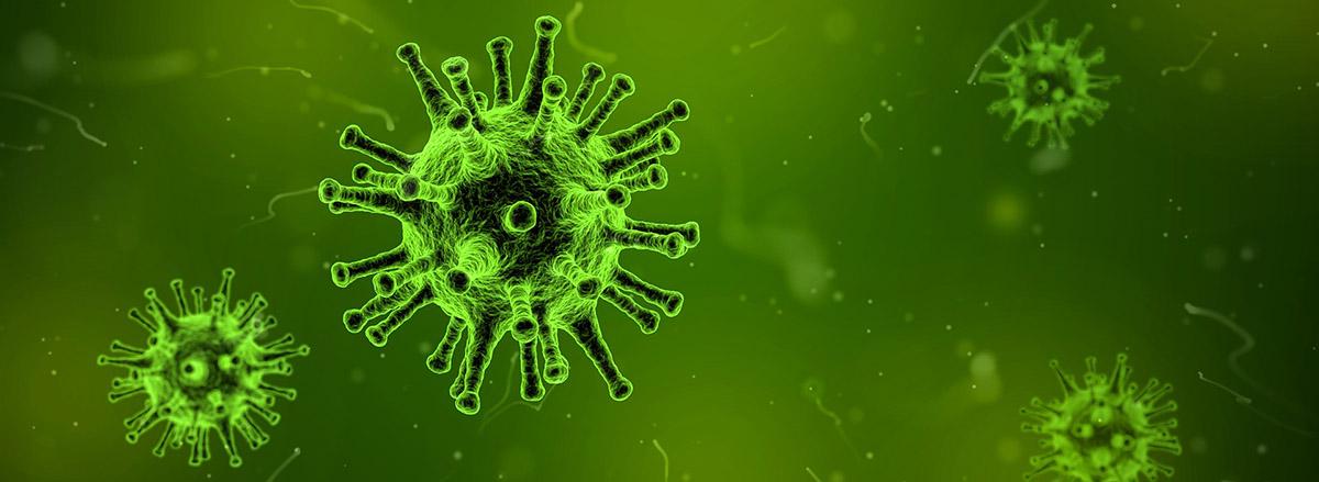virus