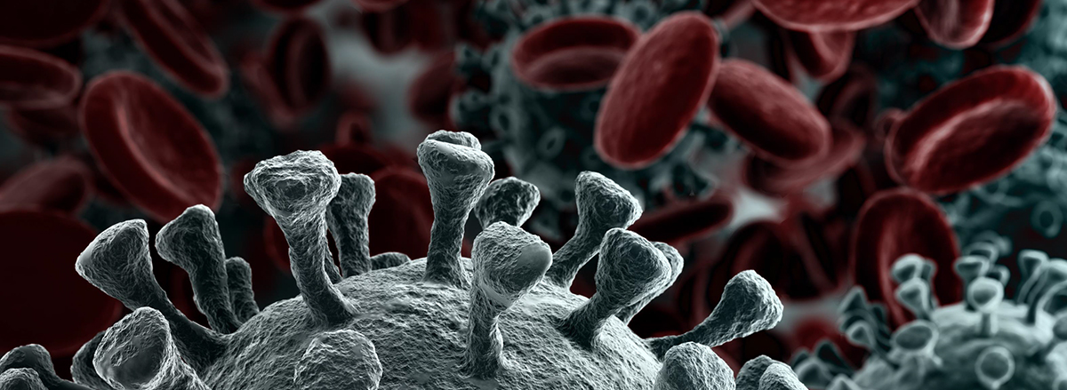 coronavirus al microscopio