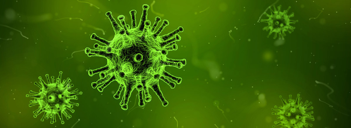 virus