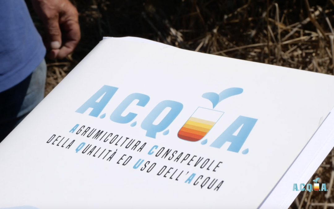 carpetta con il logo del progetto acqua