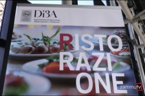 manifesto del corso di laurea in  scienze e tecnologie per la ristorazione e distribuzione degli alimenti mediterranei