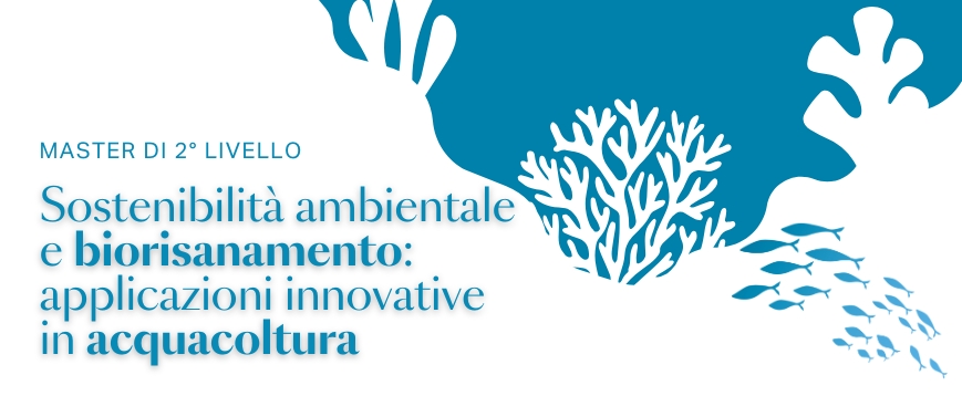 sagoma fondale marino