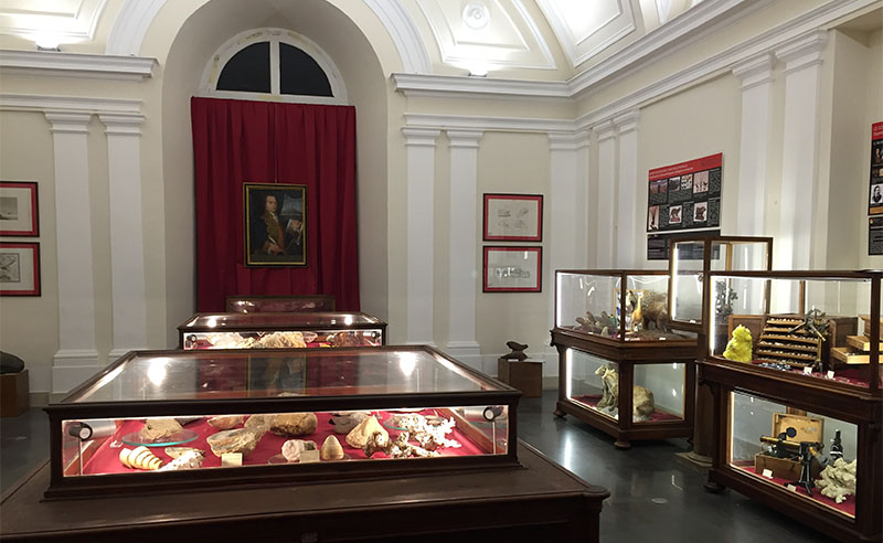 Museo dei Saperi e delle Mirabilia siciliane Museo dei Saperi e delle Mirabilia siciliane
