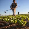 agricoltura