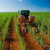 agroindustria
