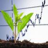 agricoltura e credito