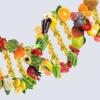 genomica alimentare