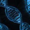 dna