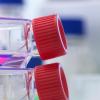 biotecnologie