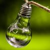 Lampadina ecologica